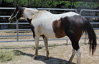 IMG_9352.JPG