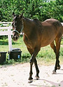 FL000019.JPG
