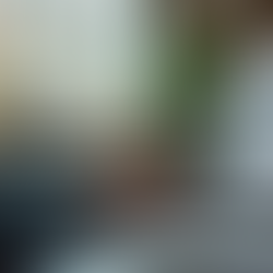 Maximize Your Shopify Potential: Marketing Insights Uncovered