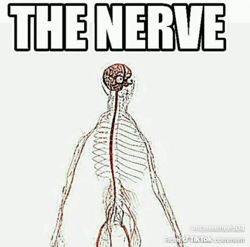 360