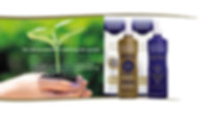 Nisim Extracts