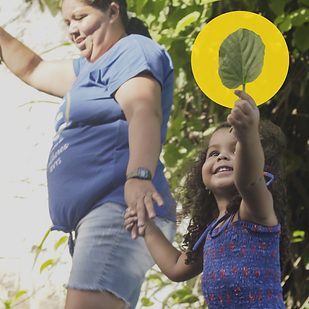 Screen Shot 2024-12-08 at 22.19.17.png