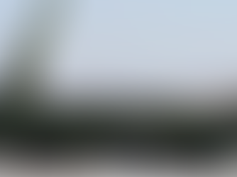 US Intelligence Has Reported: It's Time to Remove Lukashenko