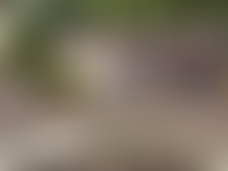 Что делать, если вас зовут в избирательную комиссию на референдум