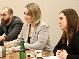 Meeting of the working group of the Ministry of Internal Affairs of Poland and democratic forces