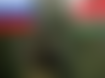 How to win the war for Belarus?