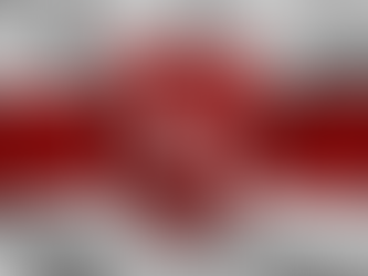 Resolution by the United Transitional Cabinet of Belarus
