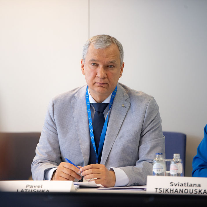 Консультативная группа ЕС-демократические силы Беларуси