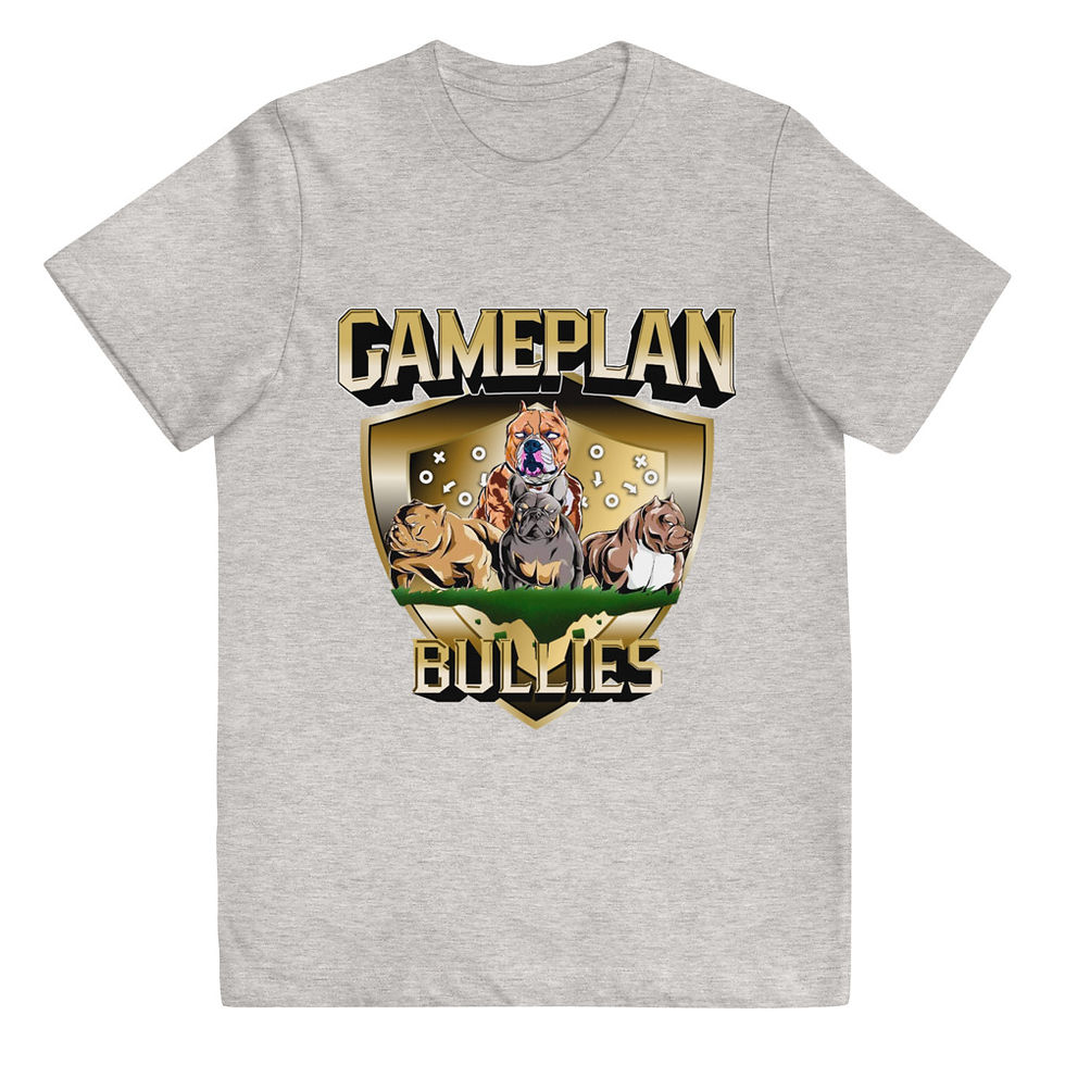 Thumbnail: YOUTH GAMEPLAN TSHIRT