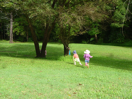 P1150133.JPG