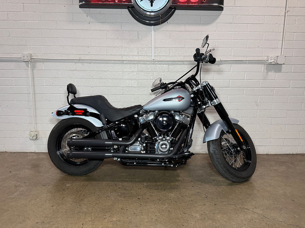 Thumbnail: 2020 Harley Davidson Softail Slim FLSL