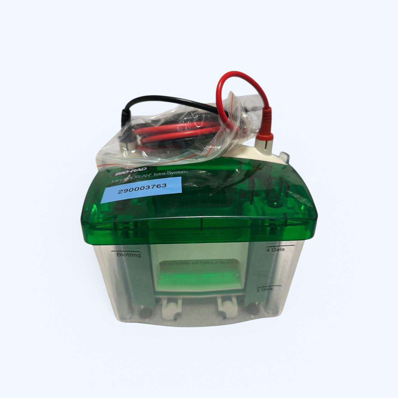 Bio-Rad Mini-PROTEAN Tetra System – Elektrophoresekammer