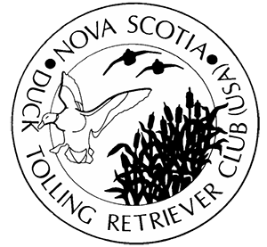 nova logo.gif