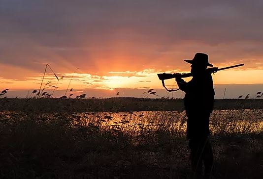 northwood mountain kennels