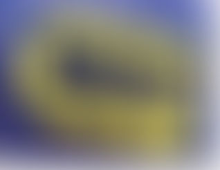 Have a Holly HD Christmas?