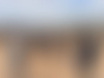 Lab trip to Judean hills and lab Poike nights