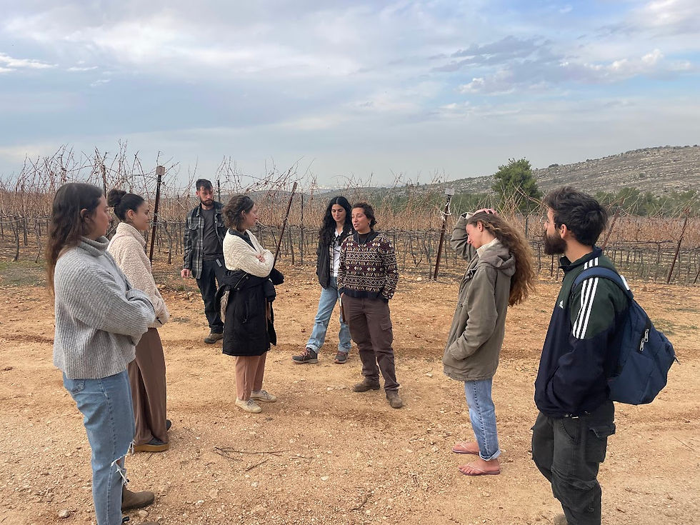 Lab trip to Judean hills and lab Poike nights