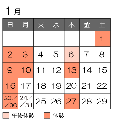 休診日カレンダー 1月-01.png