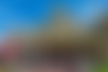 O melhor hot dog da Disney.