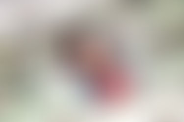 Adeus Disney's dollars.