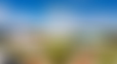 "The Coca Cola" Orlando Eye.