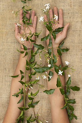 still-life-sustainability-concept-composition-min.jpeg