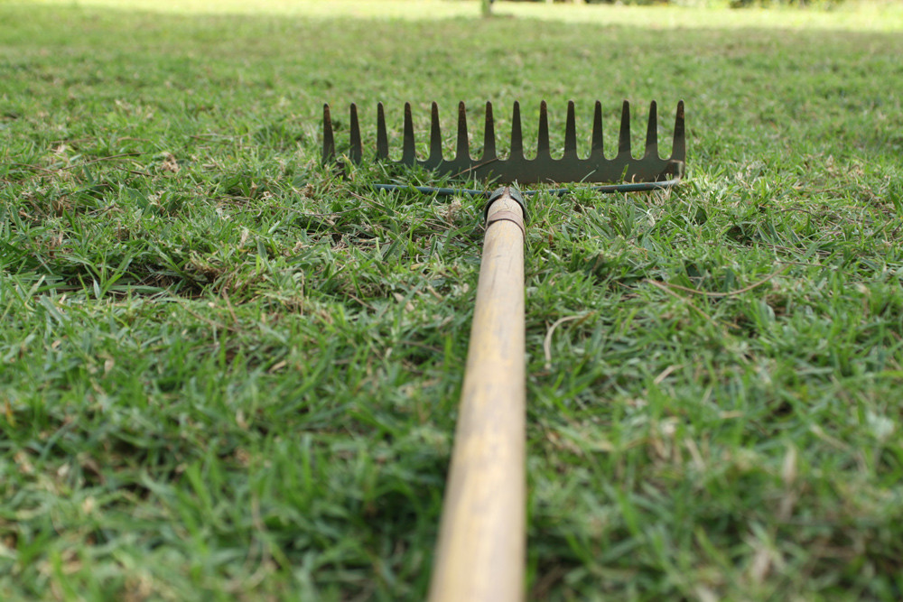 thatch lawn cedarwood cooperative