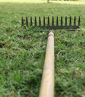 Lawn Dethatching Durango, CO