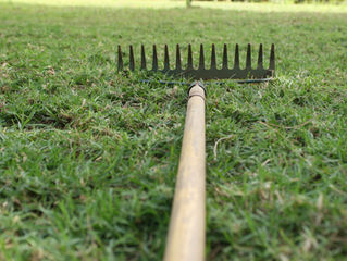 Yeah, yeah. So you just cut the grass, right?