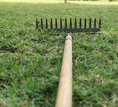Garden Rake on Grass