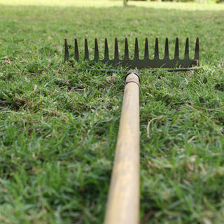Wooden-handled rake on green grass