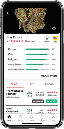 IPHONE X MOCKUPS-07 copy.png