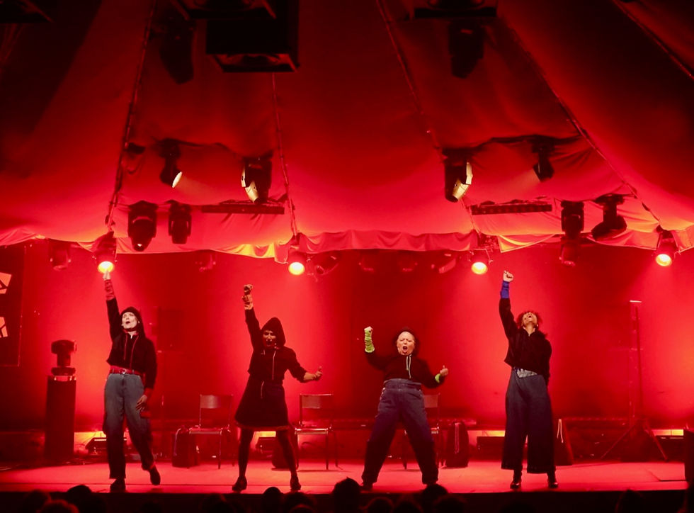 #VNR . Le Zèbre de Belleville . PARIS (11ÈME)