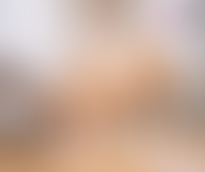 Повръщане в домашни условия при кучета и котки: кога е нужно, кога е опасно и защо най-доброто решение често е ветеринарният лекар