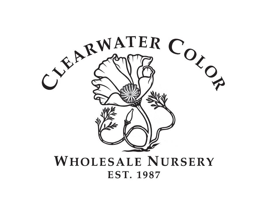Clearwater Color Nusery logo