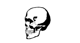 logo.png
