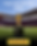 Distibuidor Oficial(1).png