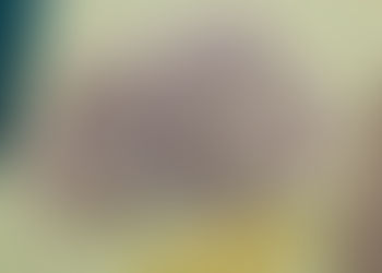 Back to School: Is Your Family’s Immune System Ready?