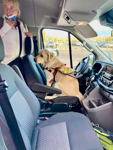 Guide dog on our Jackson Hole trip takes a moment to relax in the front of the van.