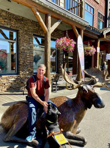 A guest and their guide dog relax on a statue of an moose in front of a lodge at Jackson Hole