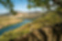 An image of terraced vineyards on sunny hills along the river Douro