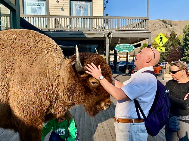 A guest is experiences the mighty bison, using their hands to feel a life-like model in Yellowstone