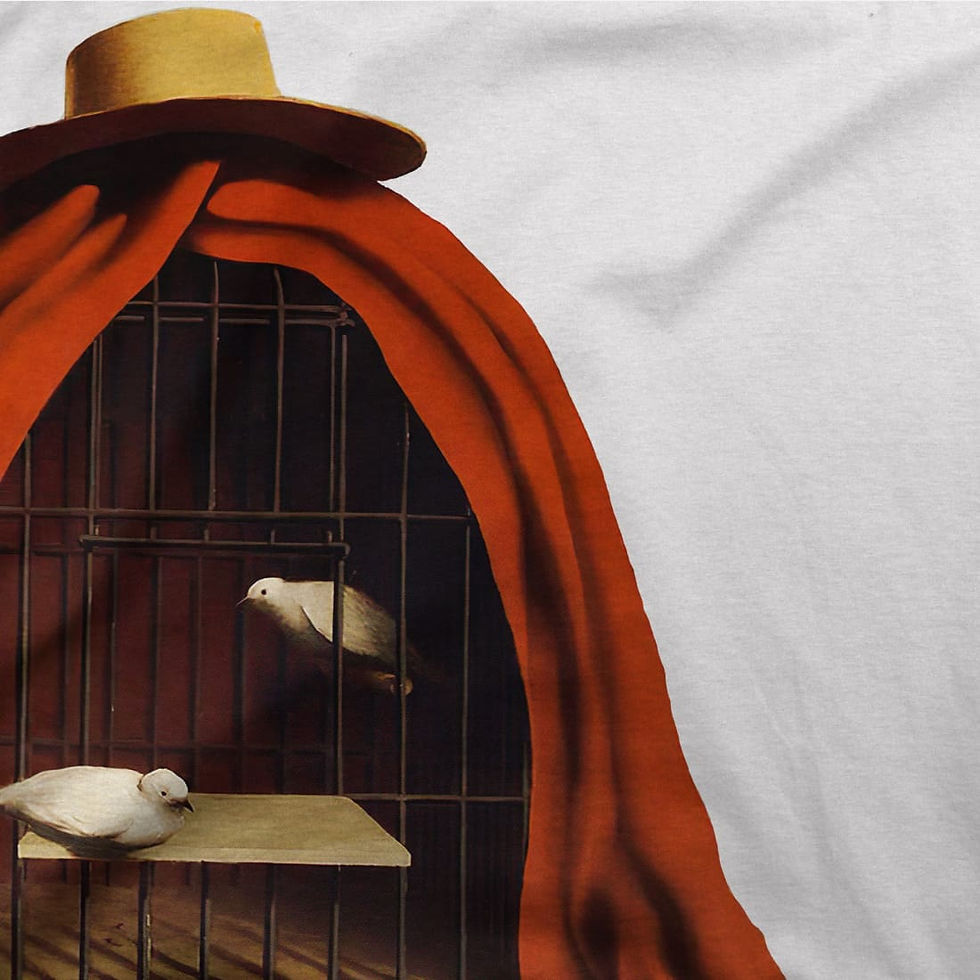 White doves in a cage with a red drape and straw hat on top.