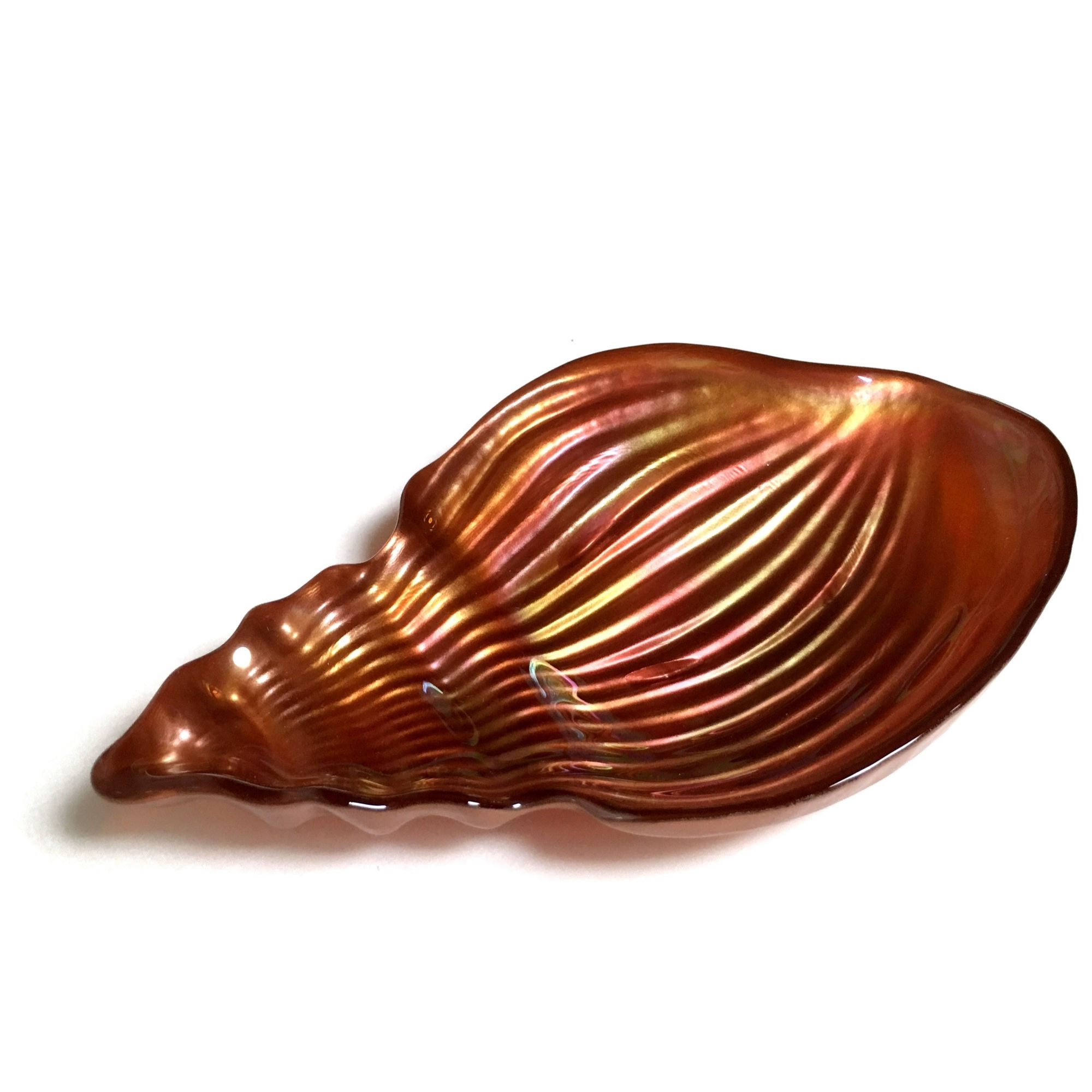 Close-up of a bronze seashell on a white background, highlighting its texture.