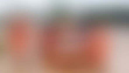 NDRF teams rescued 350 people, evacuated 15,000 individuals from flood-affected areas in Andhra Pradesh