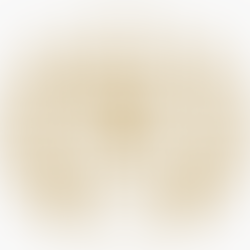 World Panorama Film Festival 2026