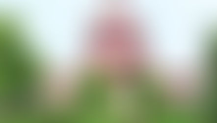 SC Defers Interim Order on New Waqf Law; Seeks Centre’s Stand on Key Issues