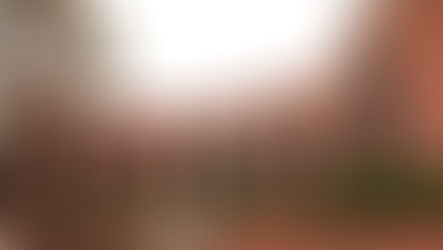 BJP condemns alleged attack on ABVP members at JNU in New Delhi