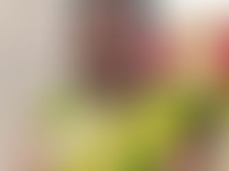 Dr. Anuradha Lakra/Rashtra Seva Puraskar 2025