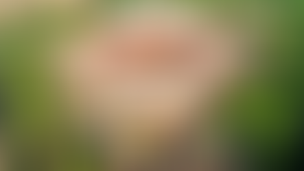 Lok Sabha adjourned after opposition uproar during Question Hour